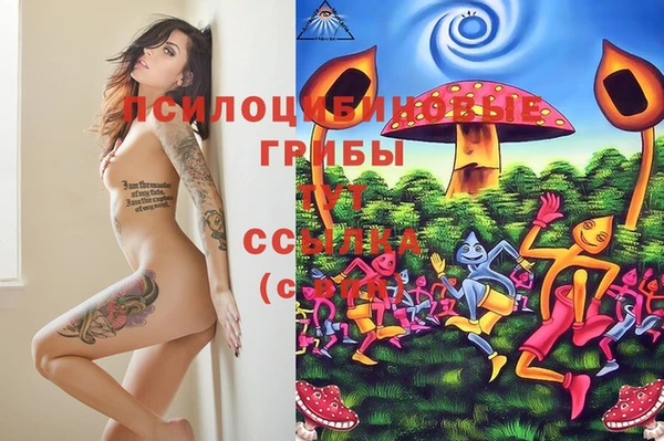 круглые Саяногорск