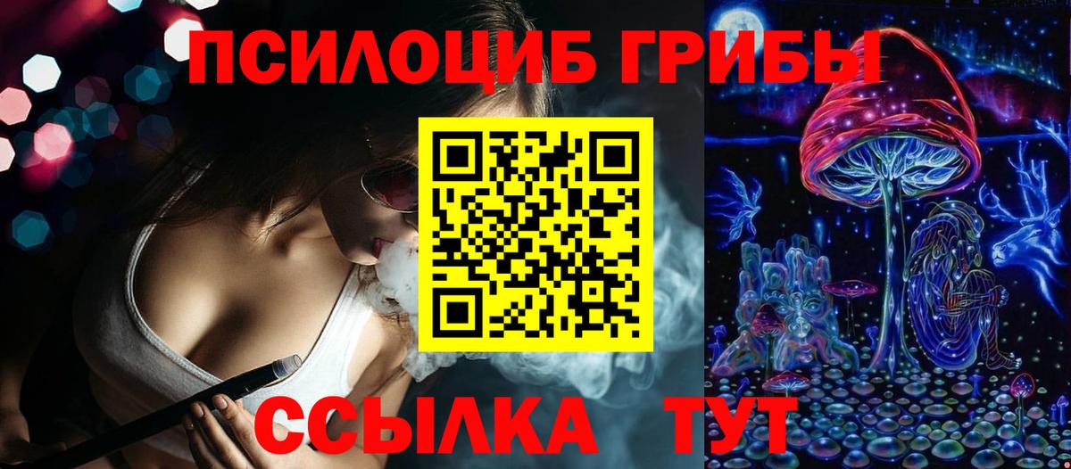 Псилоцибиновые грибы мицелий Советский