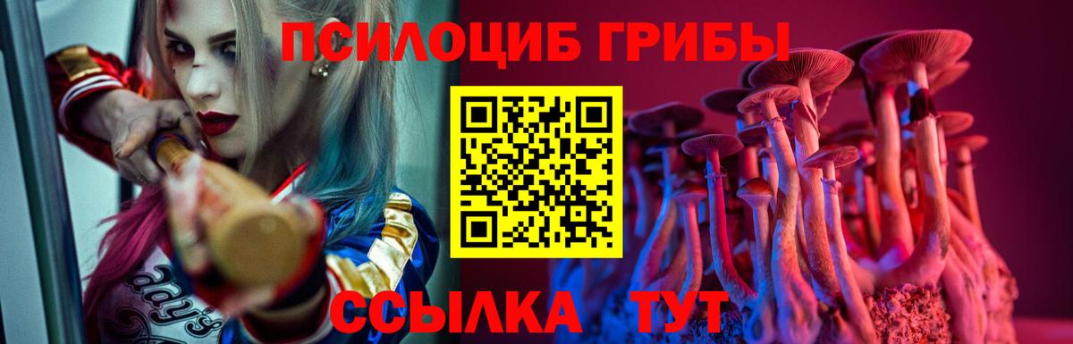 Советский  Псилоцибиновые грибы прущие грибы  Вход с VPN 