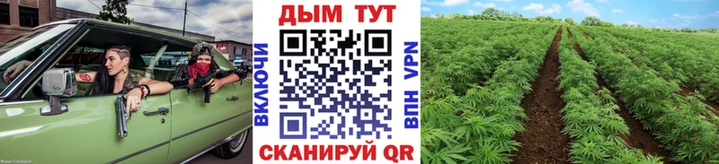 Каннабис Ganja  Советский 