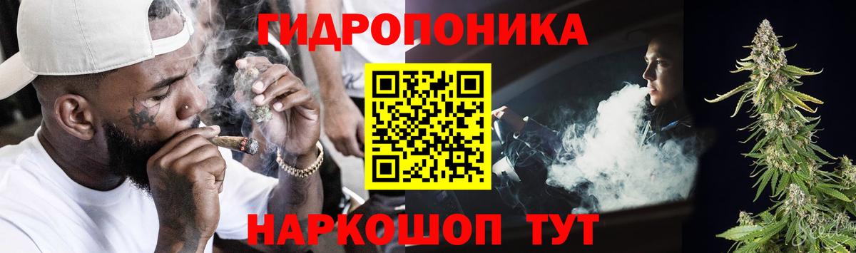 Бошки Шишки конопля  Бошки марихуана конопля  Советский  Вход с VPN 